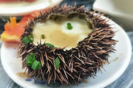 海胆蒸蛋